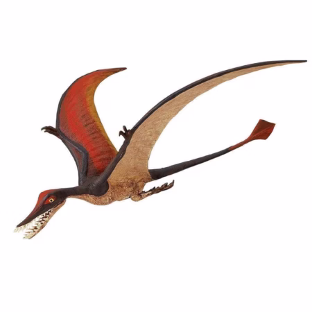 Safari Ltd. Rhamphorhynchus