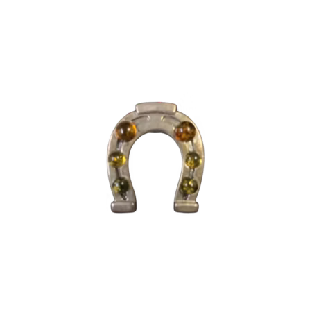 Horseshoe Pendant with Amber Accents
