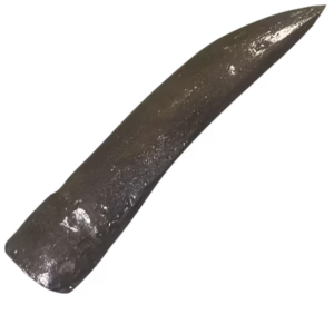 Seismosaurus Tooth Cast