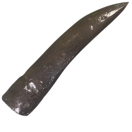 Seismosaurus Tooth Cast