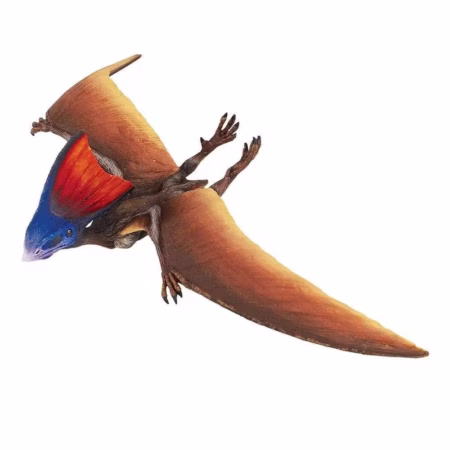 Safari Ltd. Tapejara