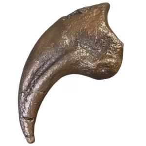 Daspletosaurus Finger Claw Cast