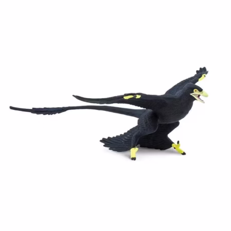 Safari Ltd. Microraptor