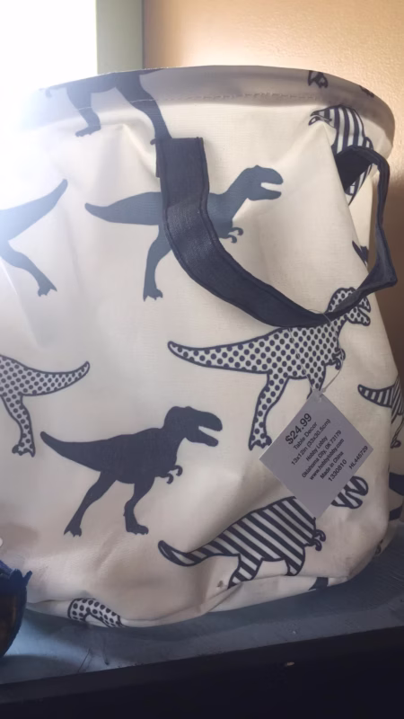 Dinosaur Canvas Bucket