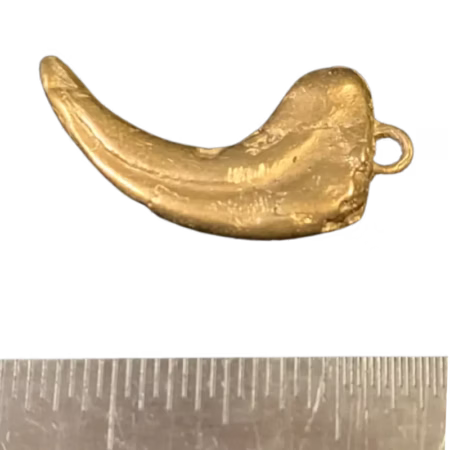 Raptor Claw Pendant