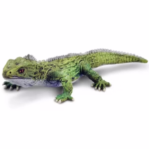 Safari Ltd. Tuatara