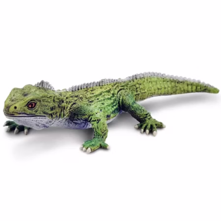 Safari Ltd. Tuatara