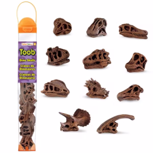 TOOB Dinosaur Skulls