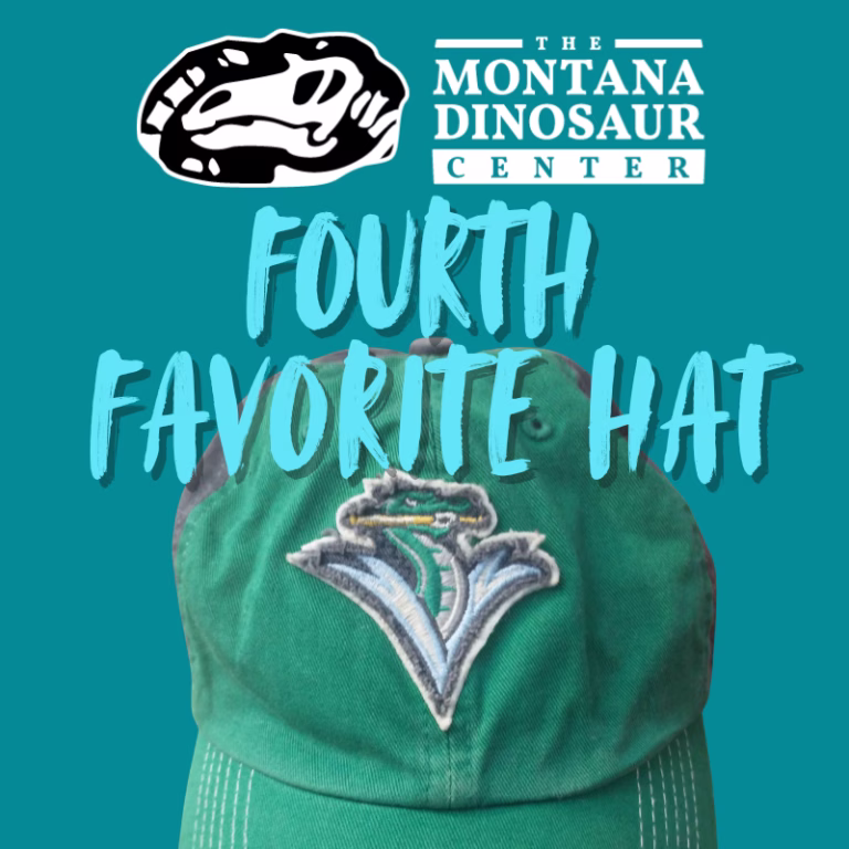 Fourth Favorite Hat – Trailer